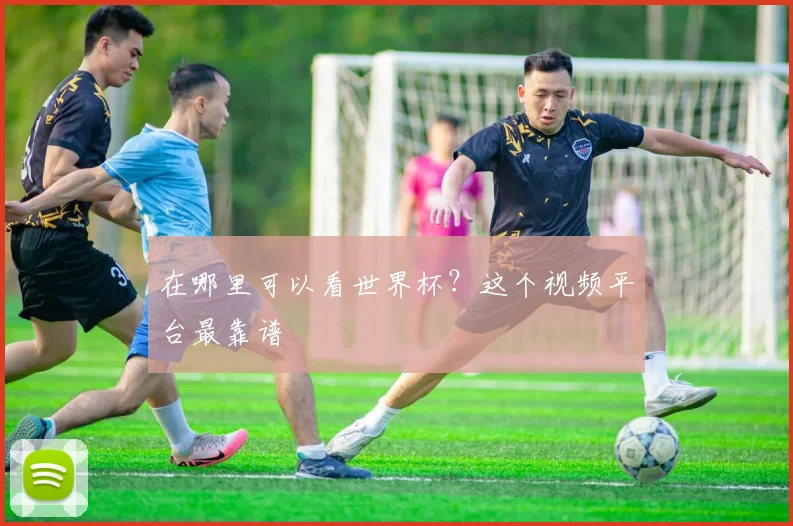 在哪里可以看世界杯?这个视频平台最靠谱