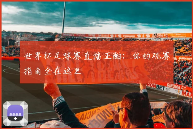 世界杯足球赛直播正酣：你的观赛指南全在这里