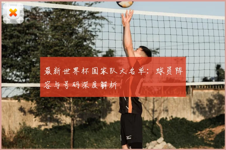 最新世界杯国家队大名单:球员阵容与号码深度解析