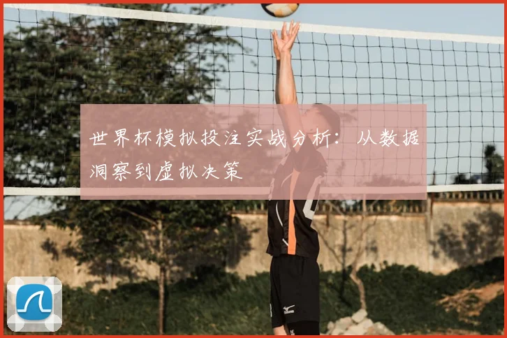 世界杯模拟投注实战分析：从数据洞察到虚拟决策