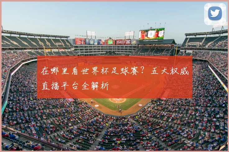 在哪里看世界杯足球赛?五大权威直播平台全解析