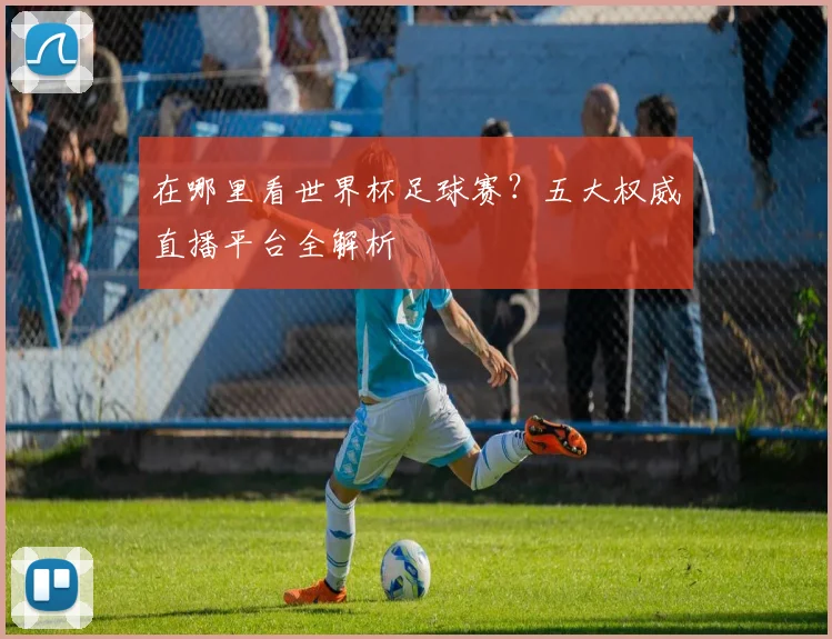 在哪里看世界杯足球赛?五大权威直播平台全解析