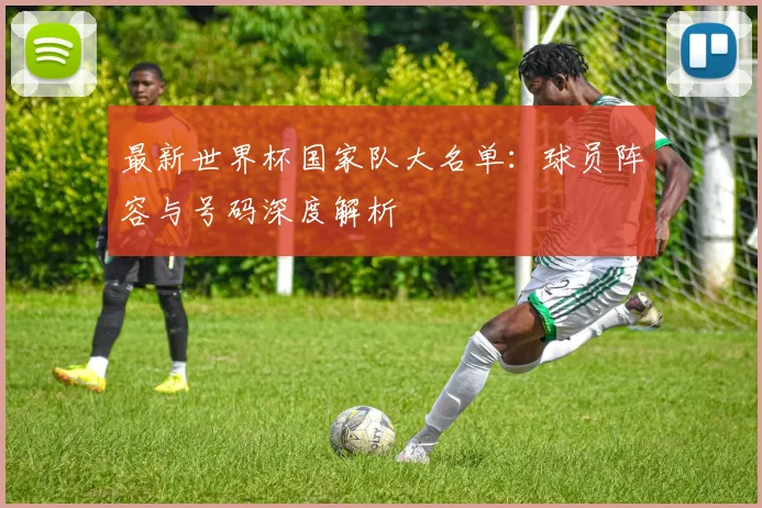 最新世界杯国家队大名单:球员阵容与号码深度解析