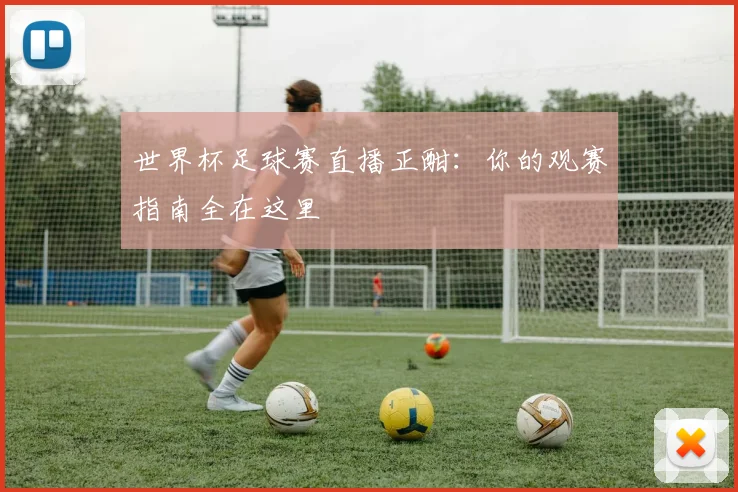 世界杯足球赛直播正酣：你的观赛指南全在这里